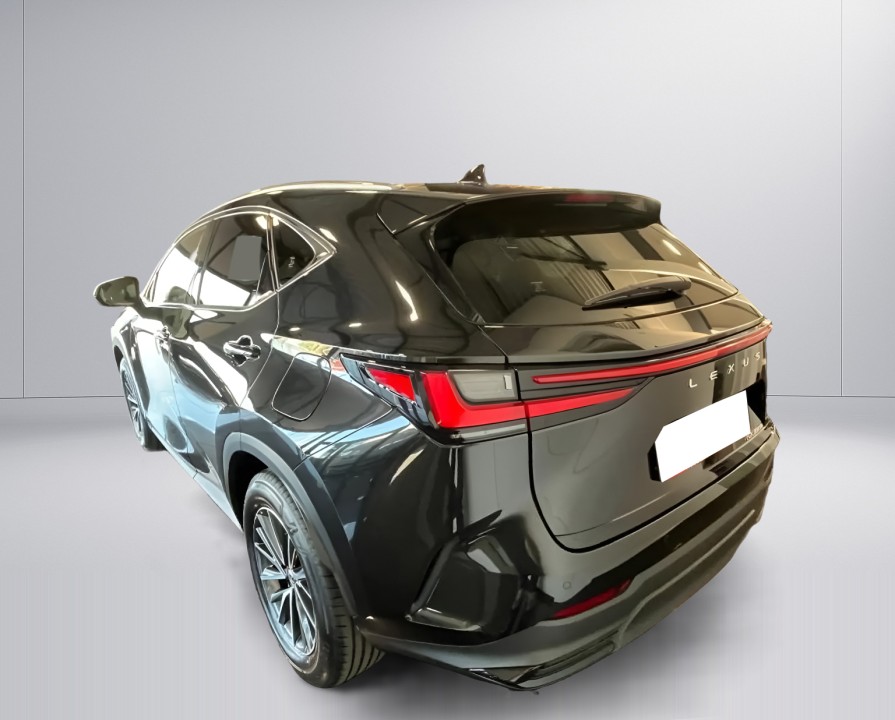 Lexus Seria NX 350h Executive (3)