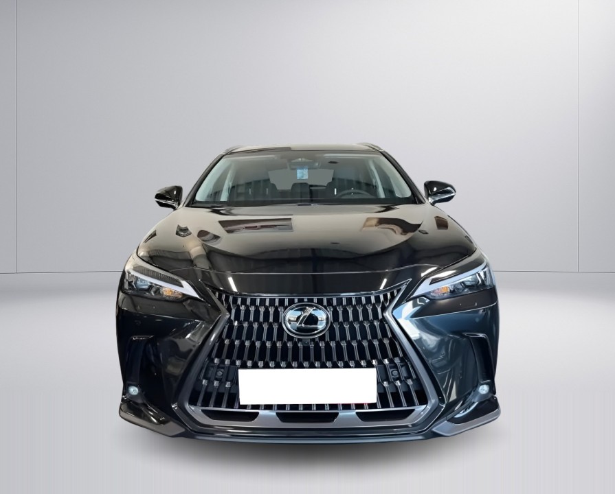 Lexus Seria NX 350h Executive (5)