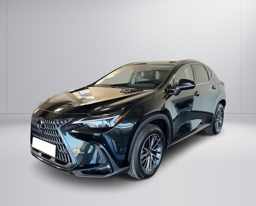 Lexus Seria NX 350h Executive (4)