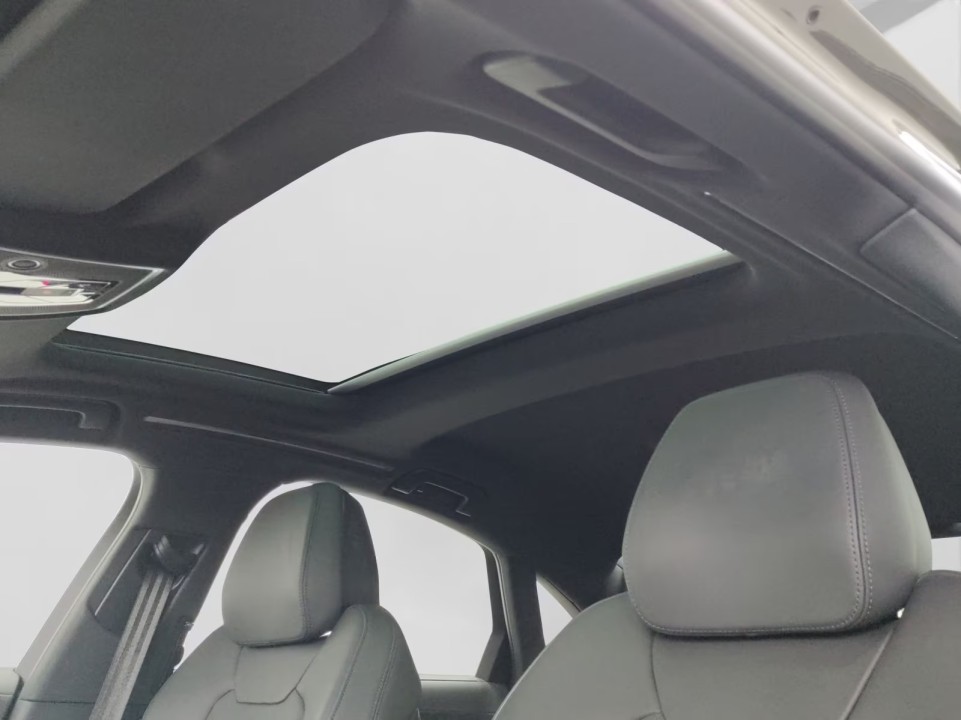Audi A8 60 TFSIe quattro tiptronic - foto 15