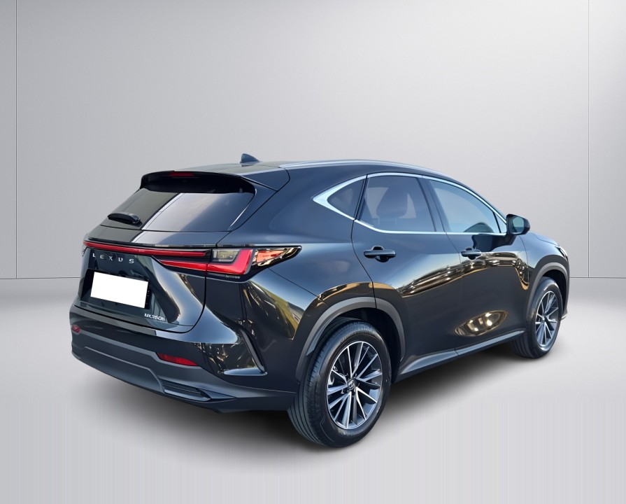Lexus Seria NX 350h Executive (3)
