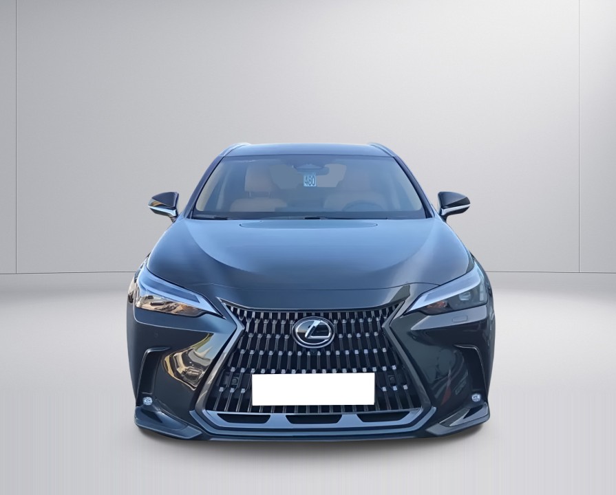 Lexus Seria NX 350h Executive - foto 7