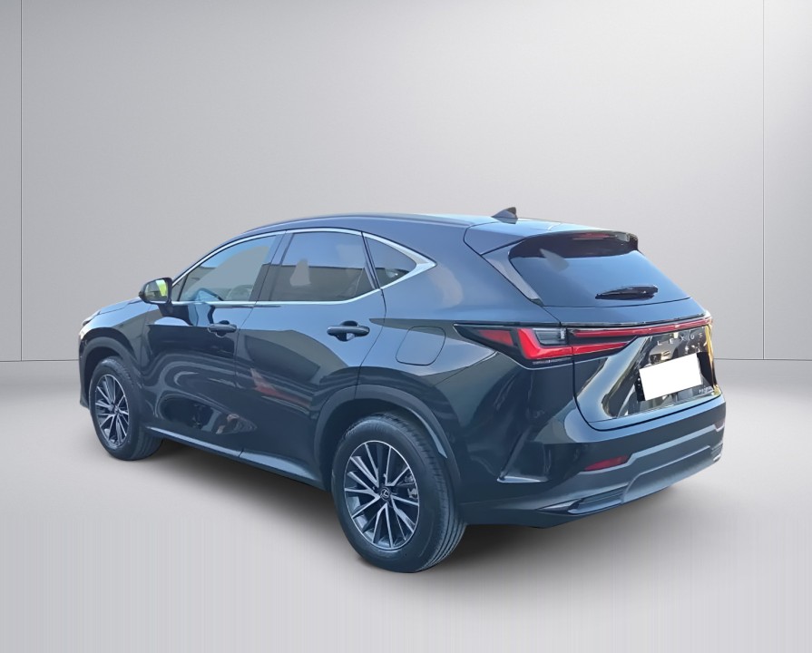 Lexus Seria NX 350h Executive (5)