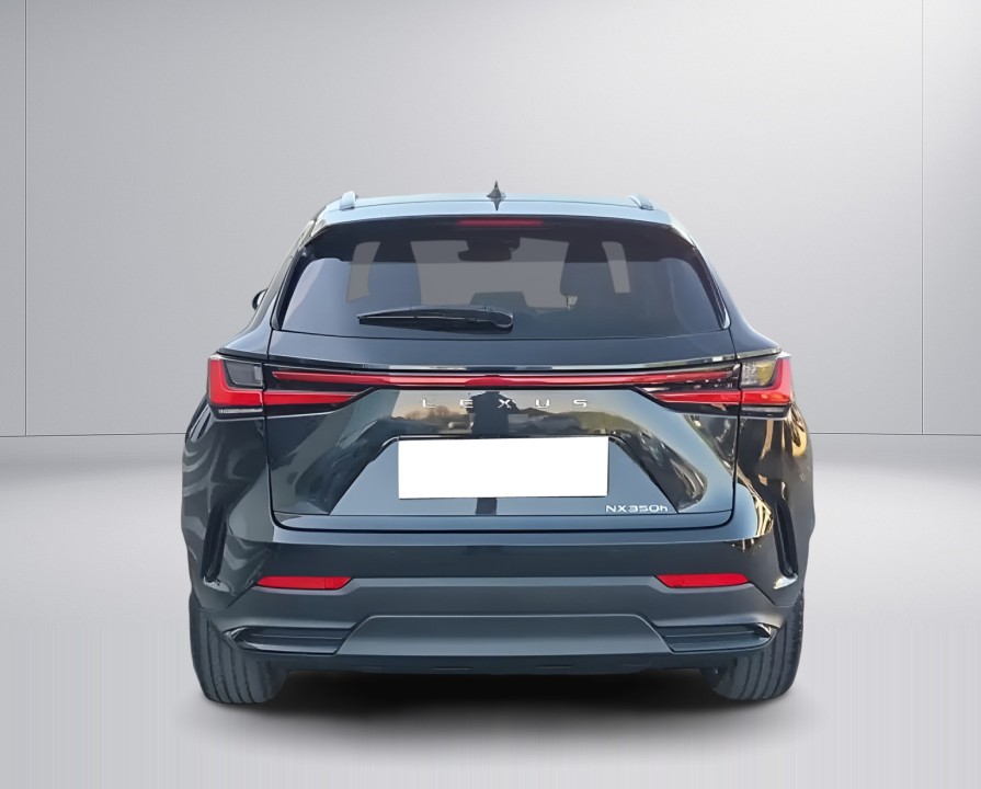 Lexus Seria NX 350h Executive (4)