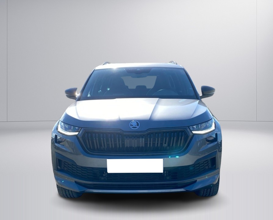 Skoda Kodiaq (2)