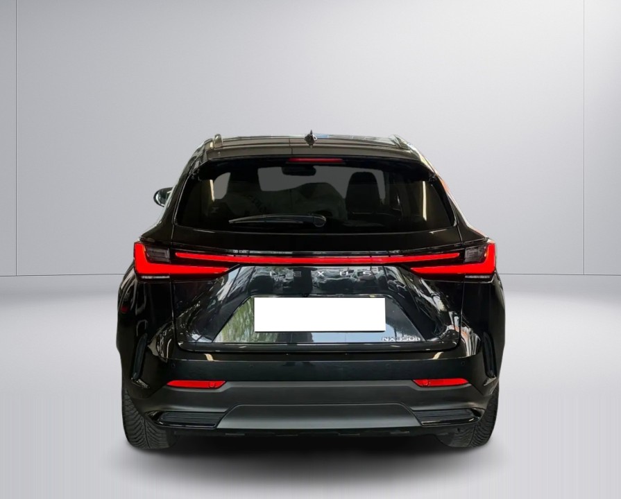 Lexus Seria NX 350h Executive (4)