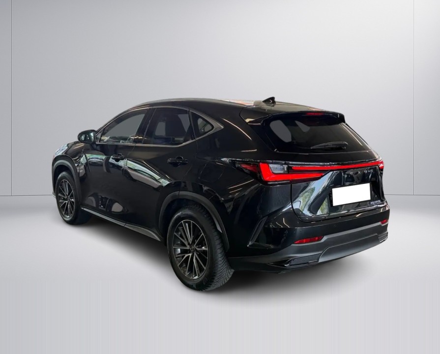 Lexus Seria NX 350h Executive (5)