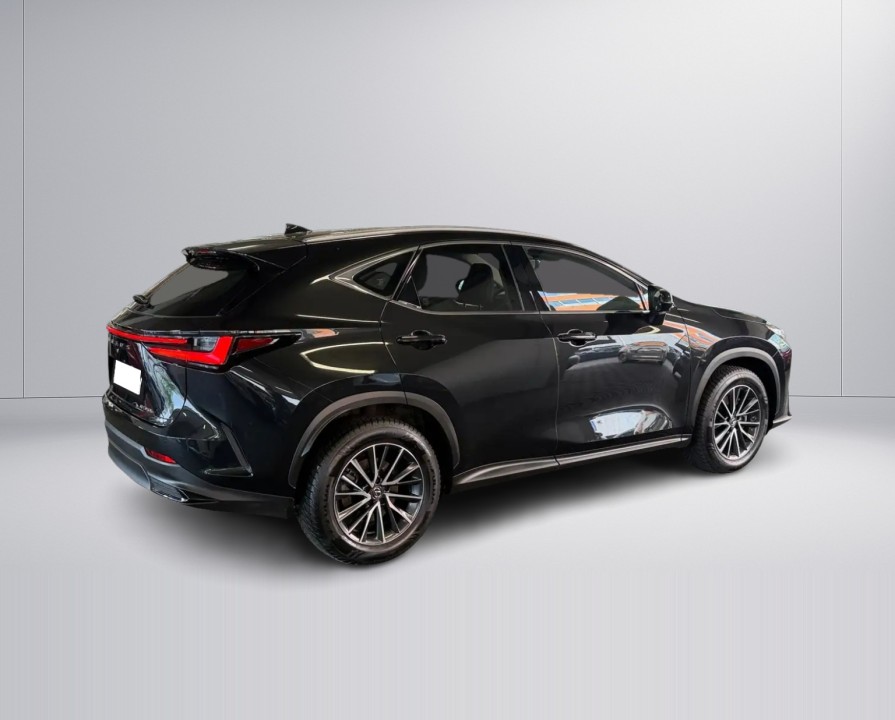 Lexus Seria NX 350h Executive (3)