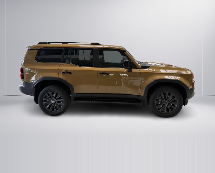Toyota Land Cruiser (3)