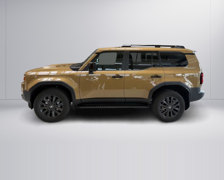 Toyota Land Cruiser (5)
