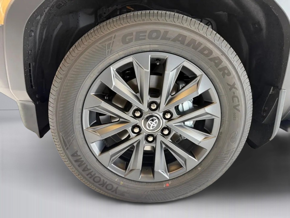 Toyota Land Cruiser - foto 14