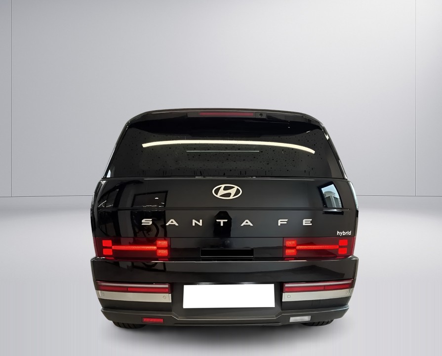 Hyundai Santa Fe (4)