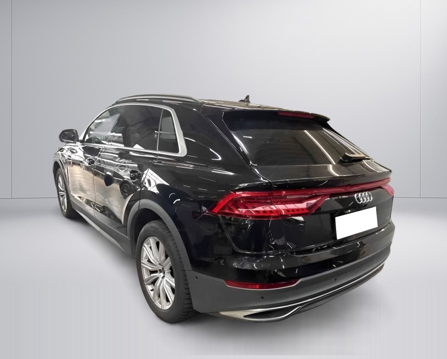 Audi Q8 45TDI quattro (4)