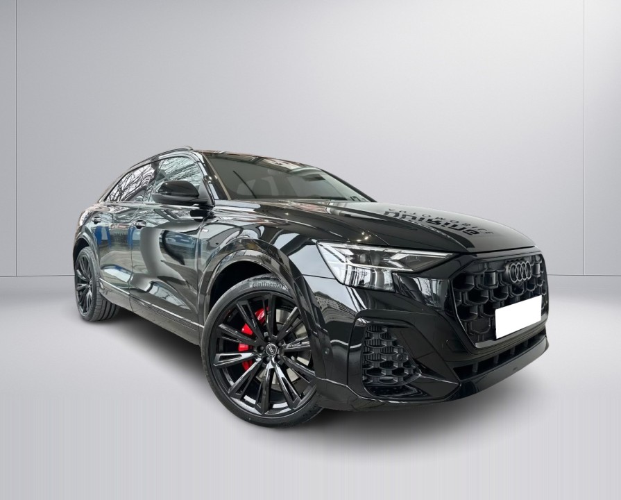 Audi Q8 55 TFSIe quattro (4)