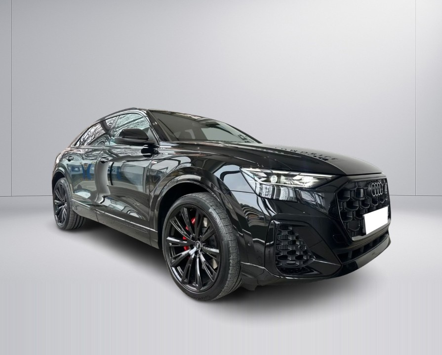 Audi Q8 55 TFSIe quattro (3)