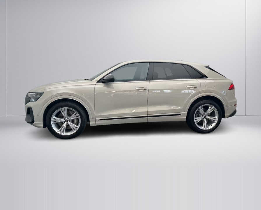 Audi Q8 55 TFSIe quattro (3)