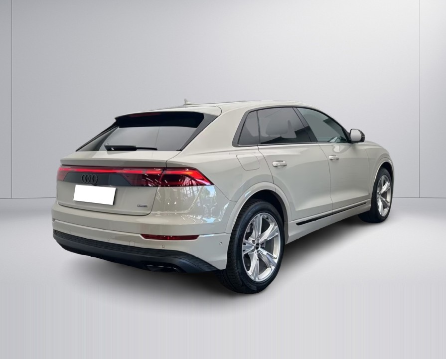 Audi Q8 55 TFSIe quattro (5)