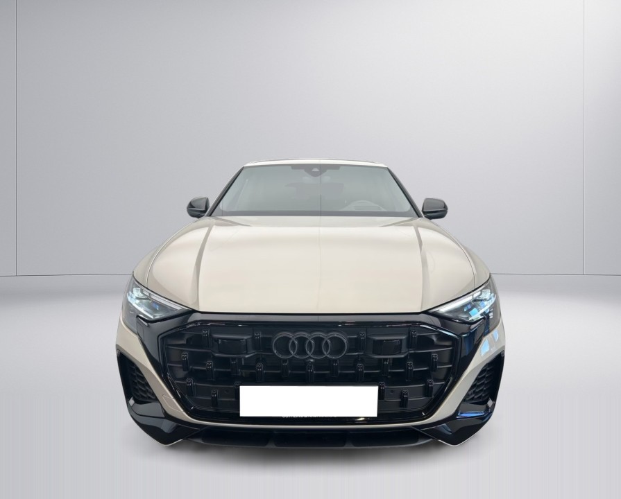 Audi Q8 55 TFSIe quattro (2)
