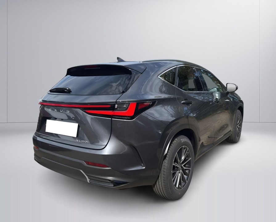 Lexus Seria NX 350h FWD (3)