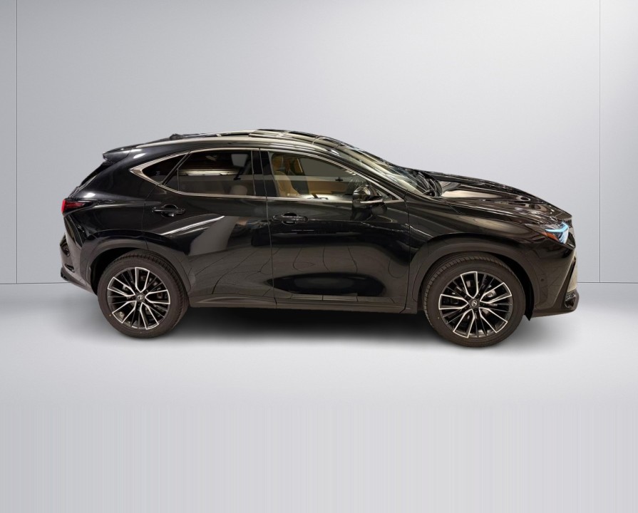 Lexus Seria NX 350h AWD Luxury Line (2)