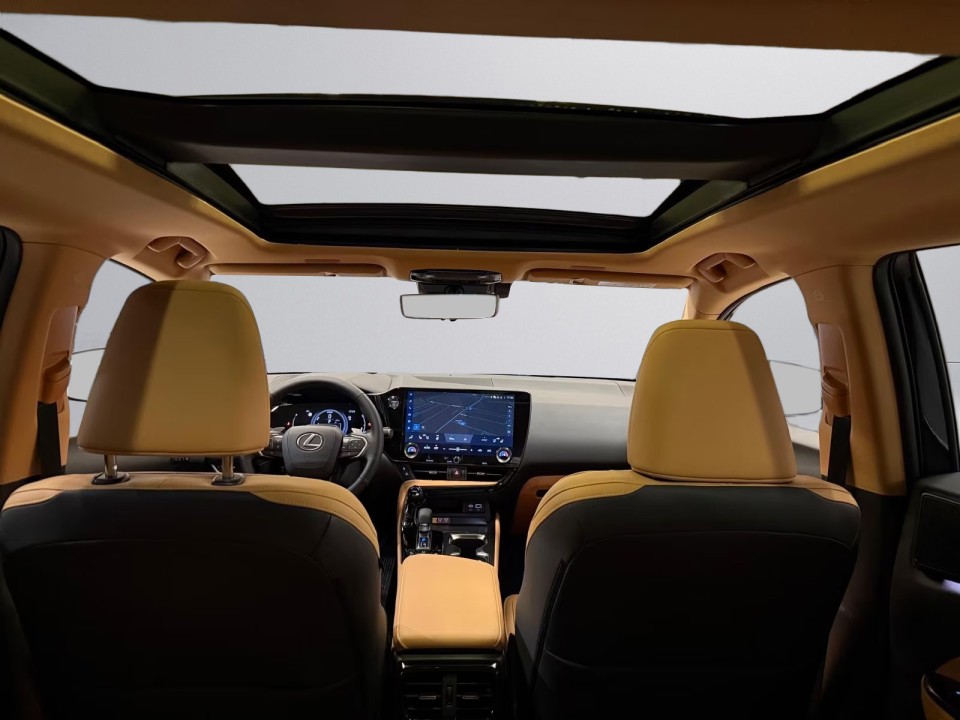 Lexus Seria NX 350h AWD Luxury Line - foto 14