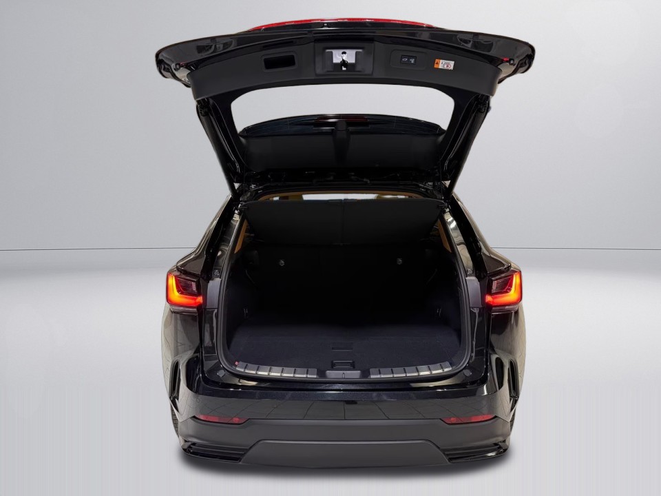 Lexus Seria NX 350h AWD Luxury Line - foto 21