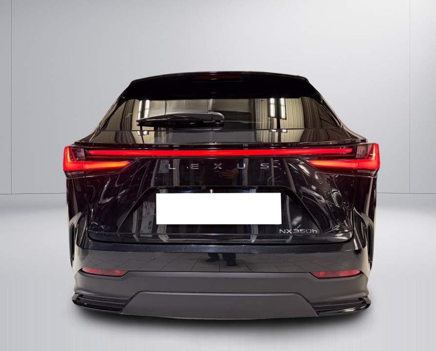 Lexus Seria NX 350h AWD Luxury Line (4)