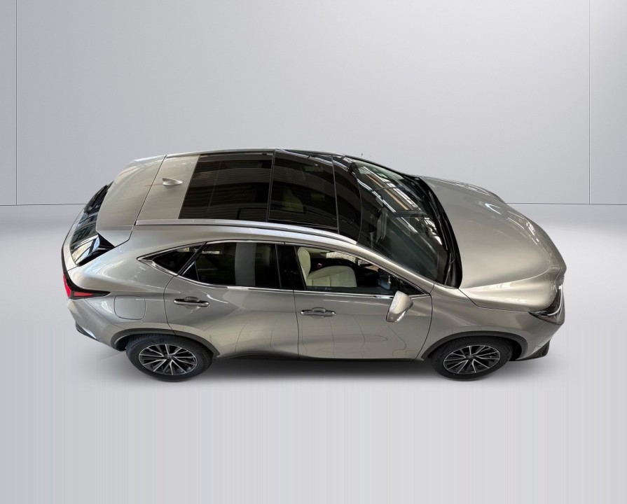 Lexus Seria NX 450h+ AWD Executive (4)