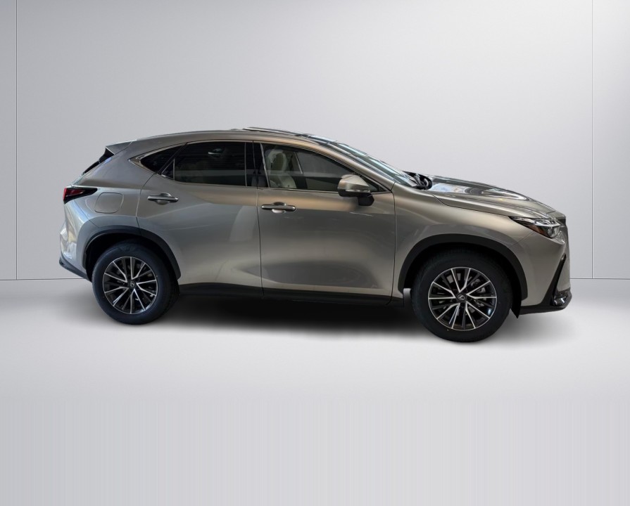 Lexus Seria NX 450h+ AWD Executive (3)