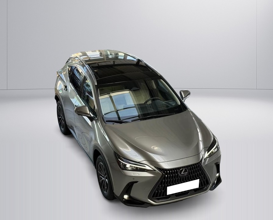 Lexus Seria NX 450h+ AWD Executive (2)