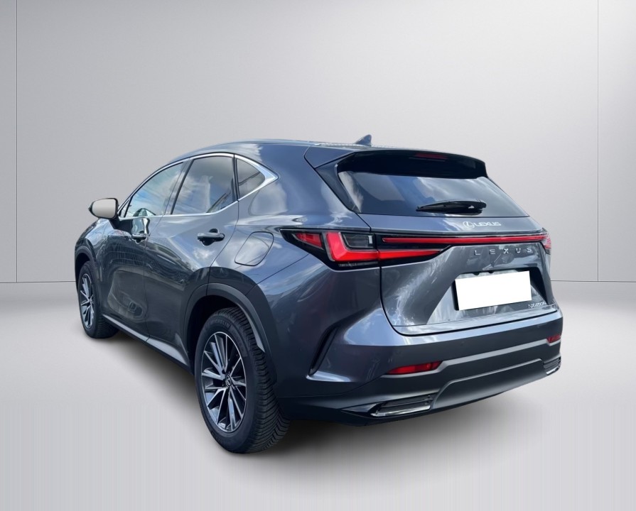 Lexus Seria NX 450h+ AWD Executive (5)