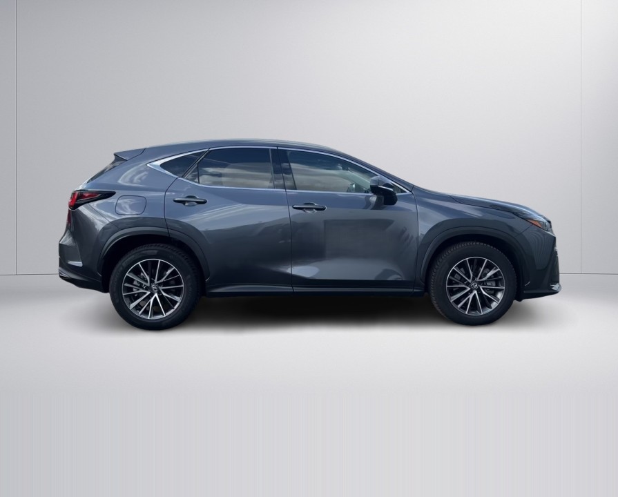 Lexus Seria NX 450h+ AWD Executive (2)