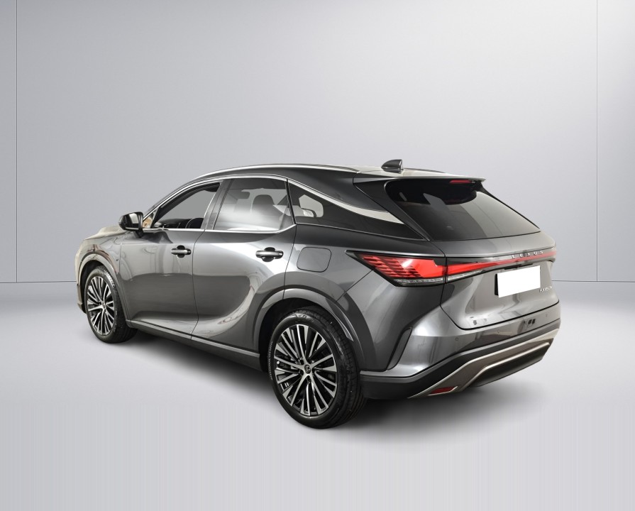Lexus Seria RX 450h+ Executive (4)