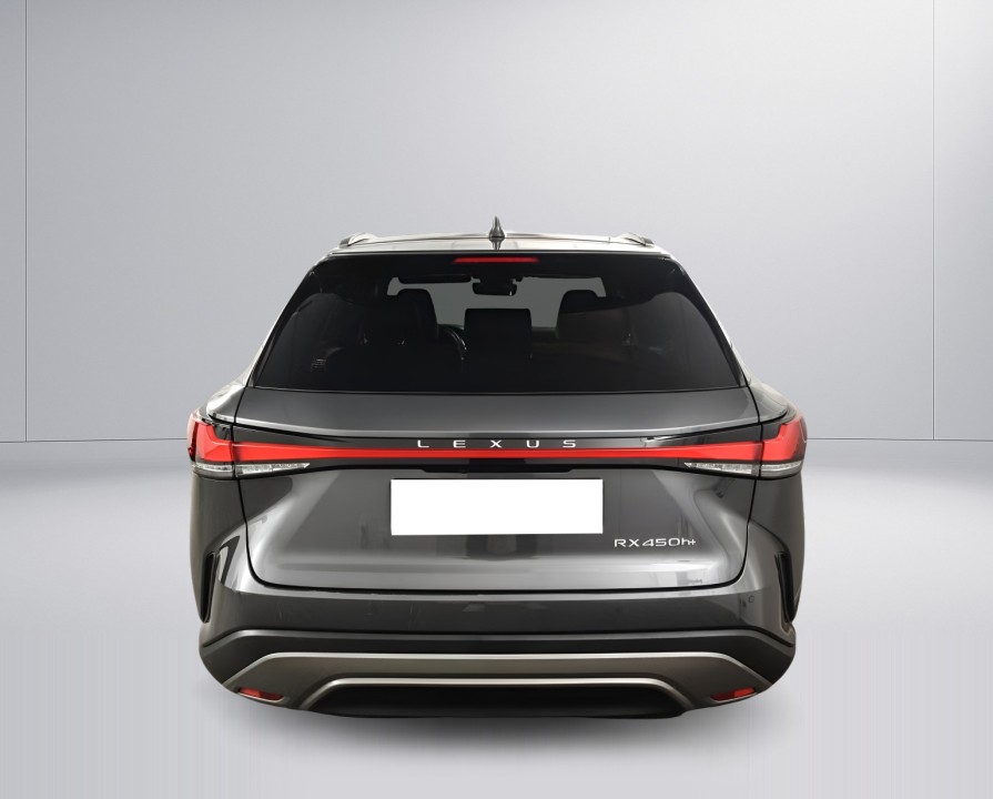 Lexus Seria RX 450h+ Executive (5)