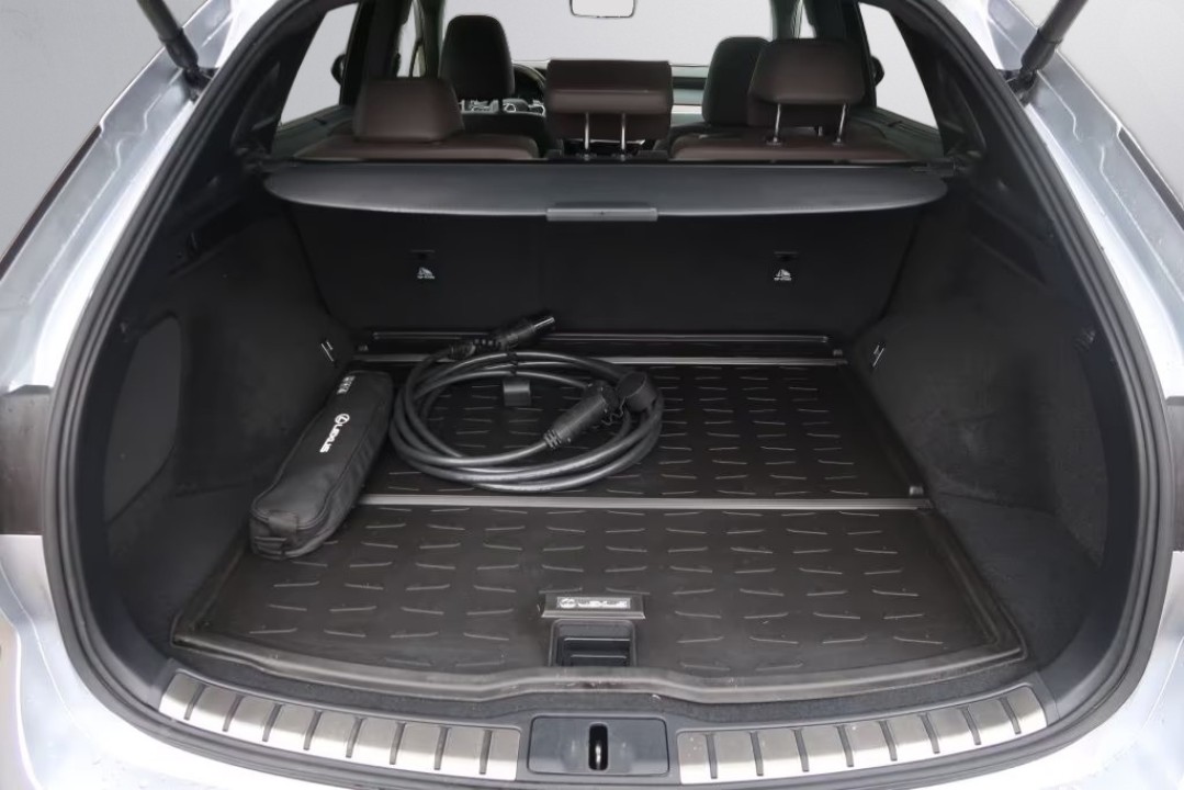 Lexus Seria RX 450h+ Luxury Line - foto 15