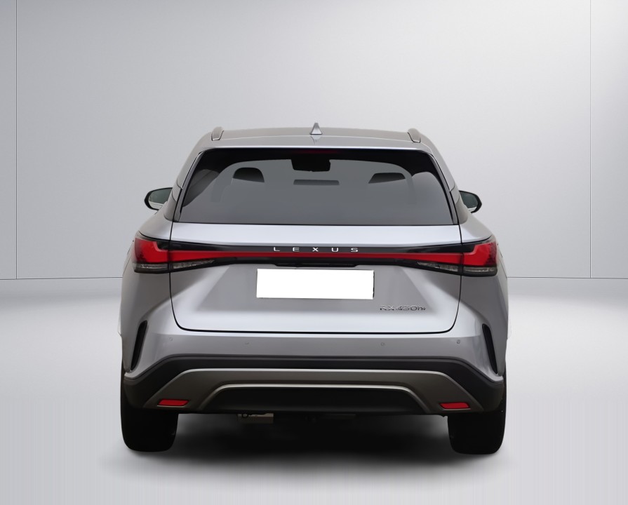 Lexus Seria RX 450h+ Luxury Line (4)