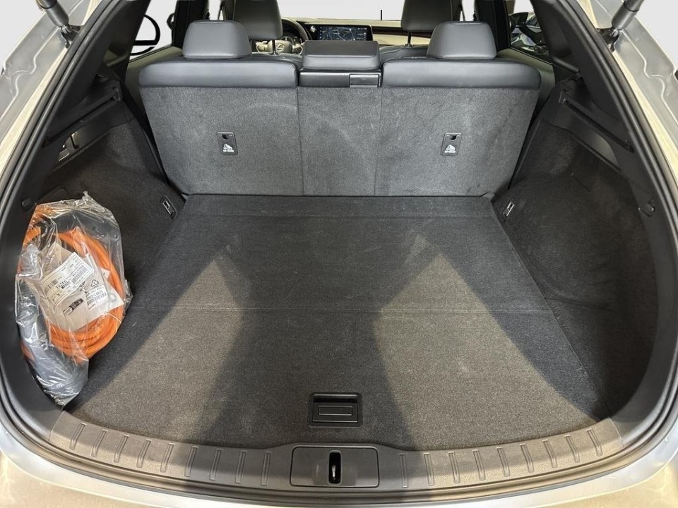 Lexus Seria RX 450h+ F-Sport - foto 14