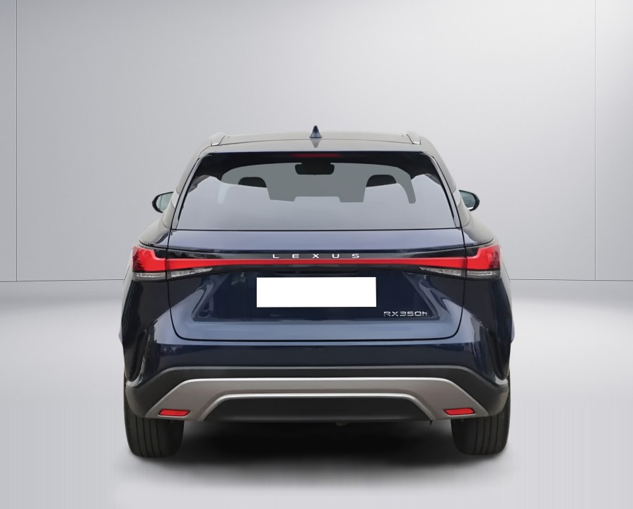 Lexus Seria RX 350h AWD Executive (4)