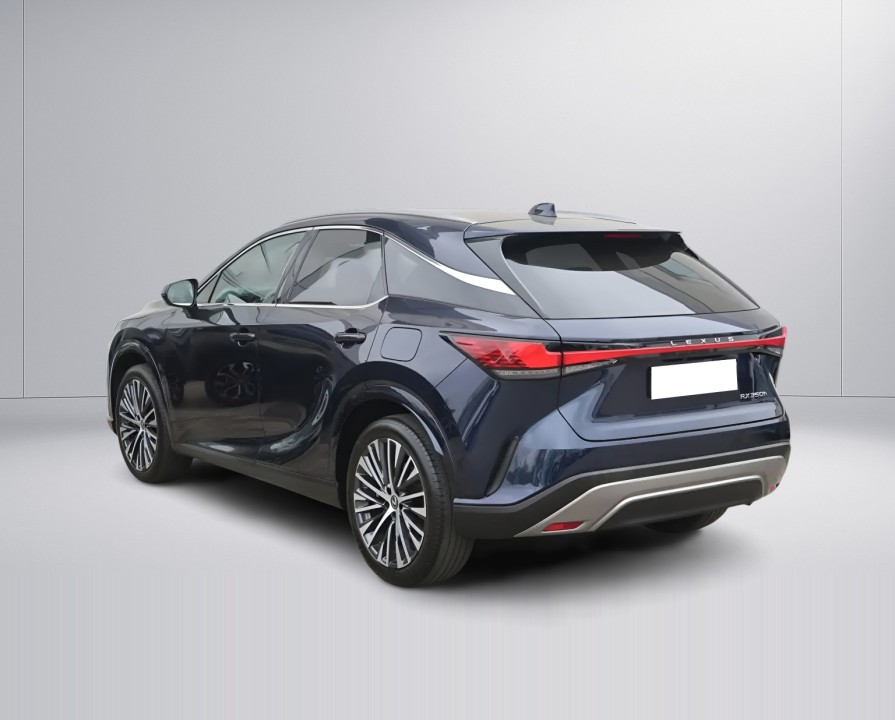 Lexus Seria RX 350h AWD Executive (5)