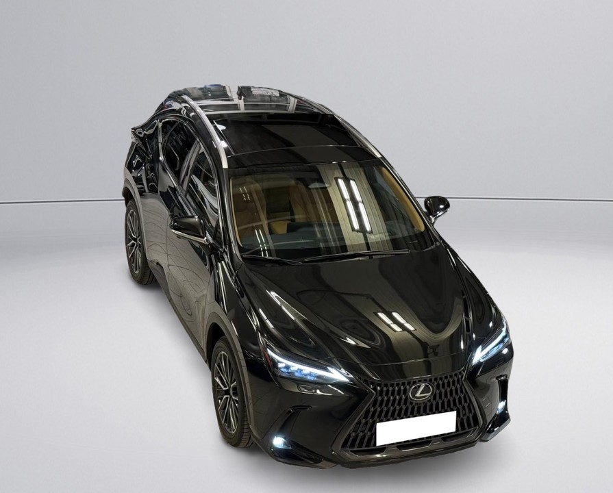 Lexus Seria NX 350h (2)