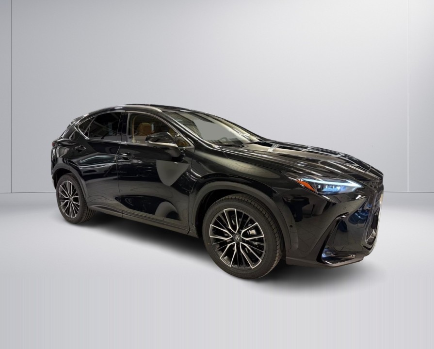 Lexus Seria NX 350h (3)