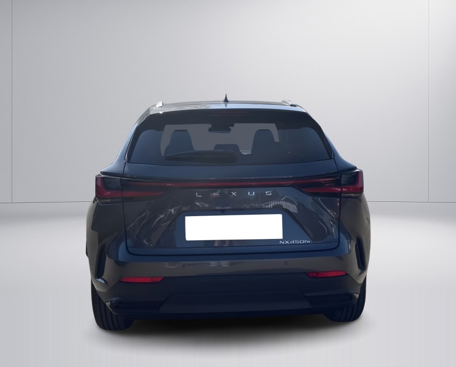 Lexus Seria NX 450h+ Executive (4)
