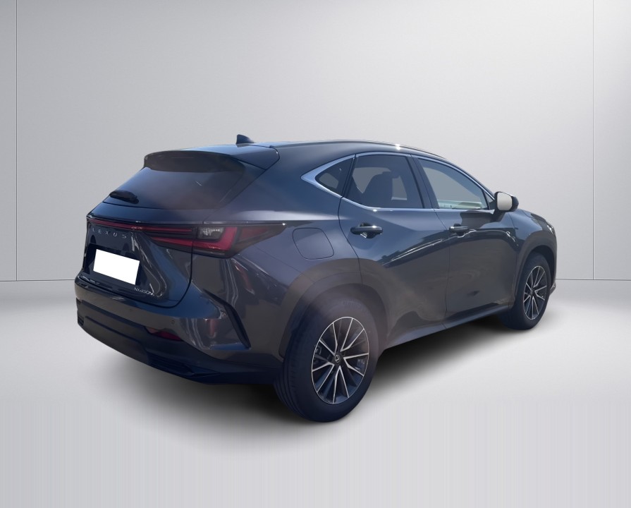 Lexus Seria NX 450h+ Executive (3)