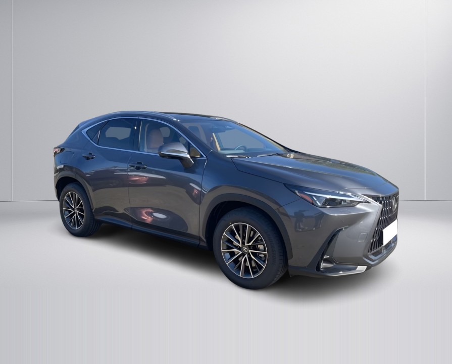 Lexus Seria NX 450h+ Executive