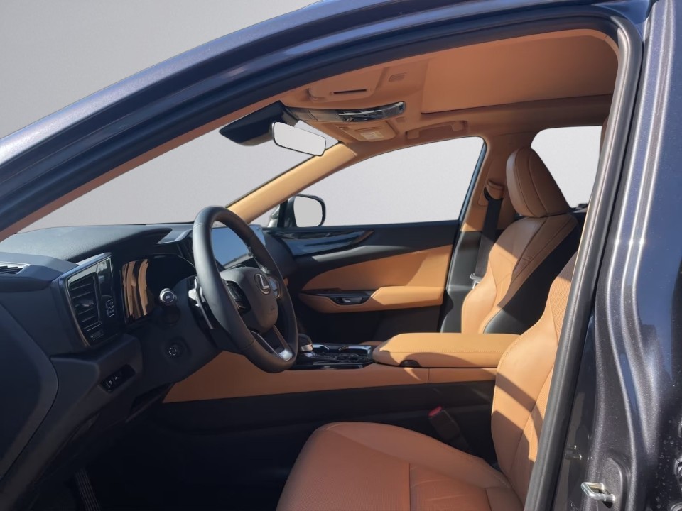 Lexus Seria NX 450h+ Executive - foto 11