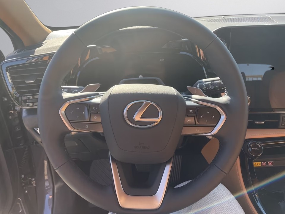 Lexus Seria NX 450h+ Executive - foto 9