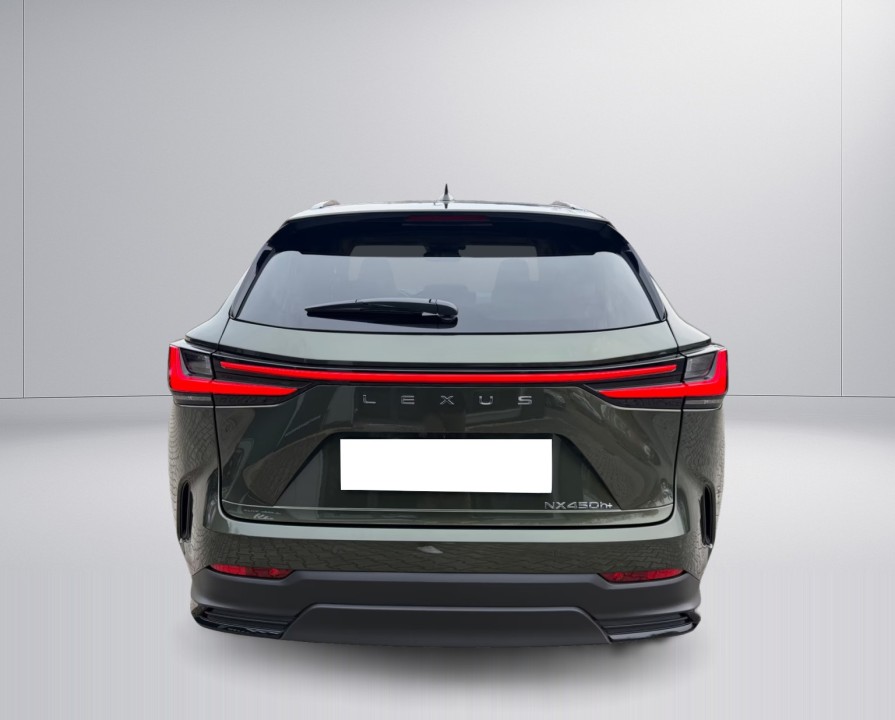 Lexus Seria NX 450 h+ Executive (5)