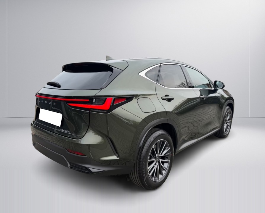 Lexus Seria NX 450 h+ Executive (4)