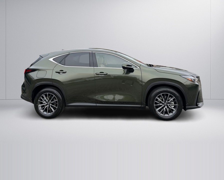 Lexus Seria NX 450 h+ Executive (3)