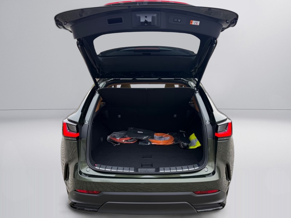Lexus Seria NX 450 h+ Executive - foto 43